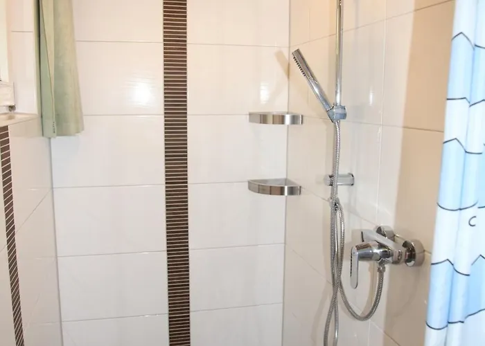 Kranich 245 * 미로우